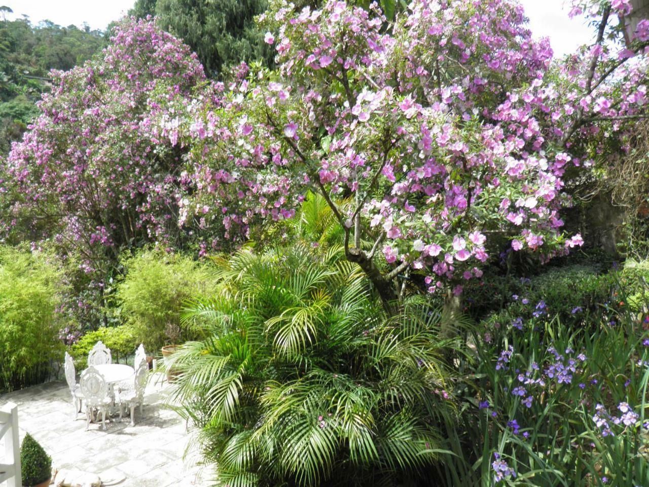 Villa Violeta Petrópolis Exterior foto