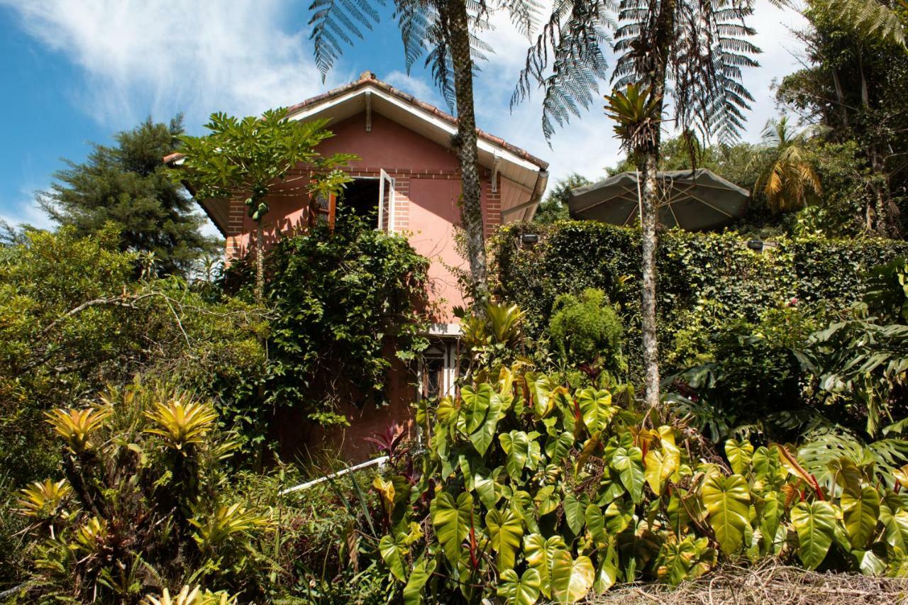 Villa Violeta Petrópolis Exterior foto